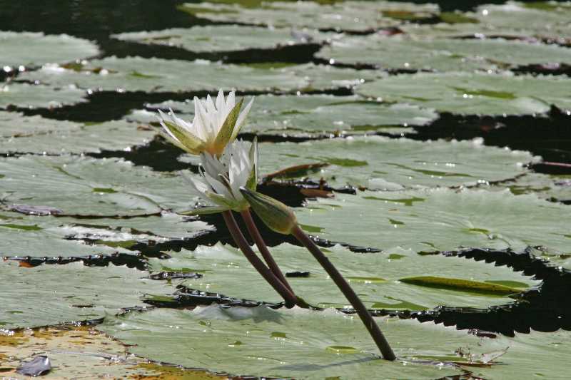 Mexico & Guatemala 2010 - 0954